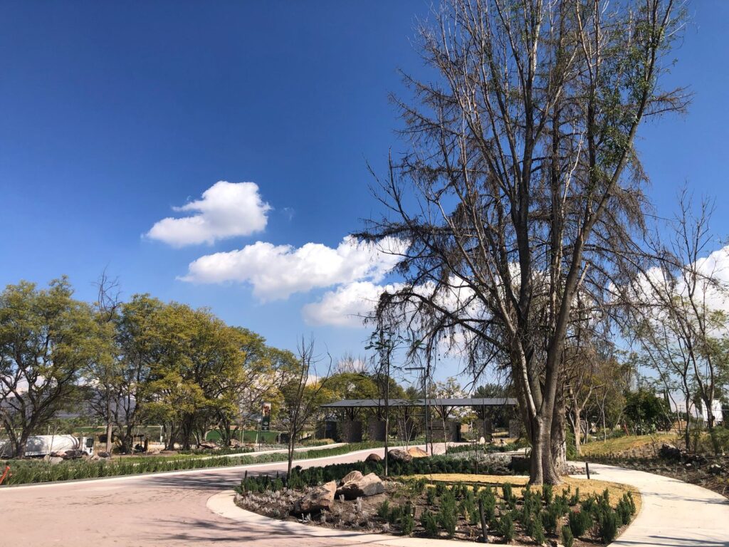 PHOTO-2025-03-25-18-30-27
