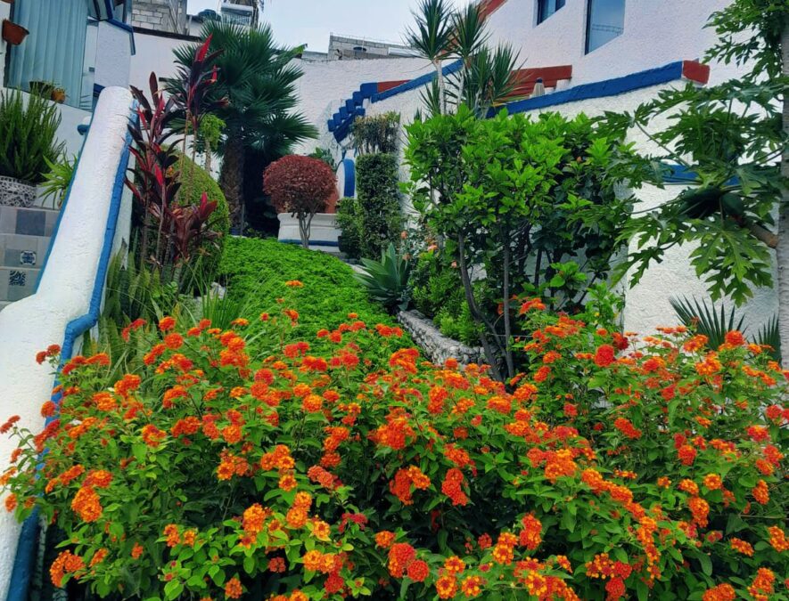 casa-juriquilla_03