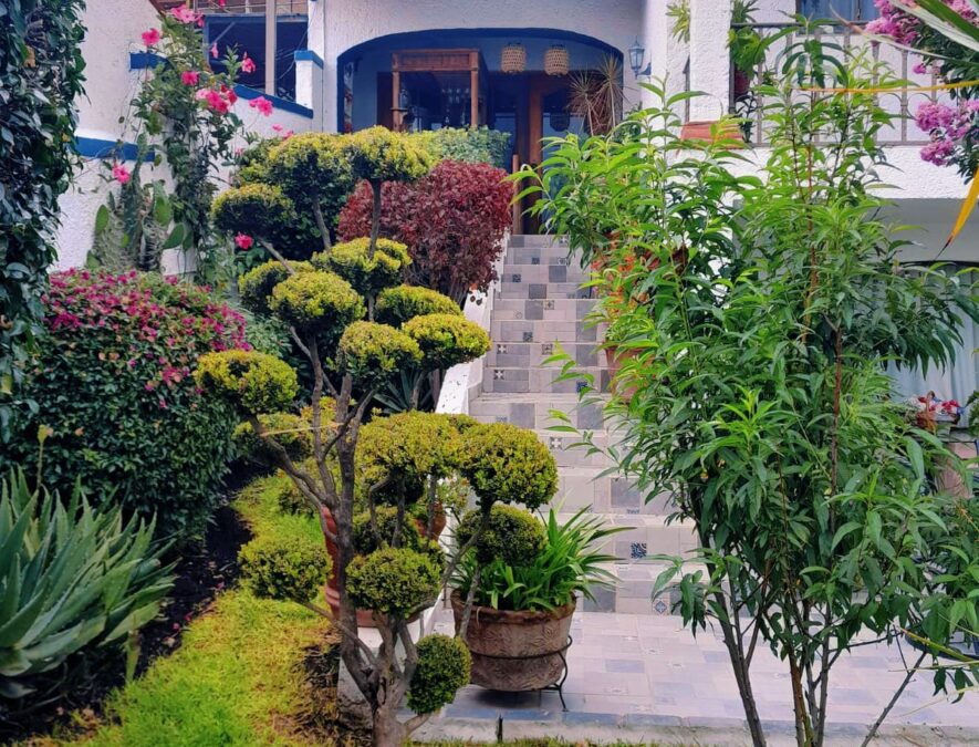 casa-juriquilla_04