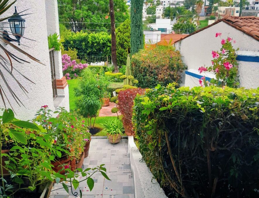 casa-juriquilla_05